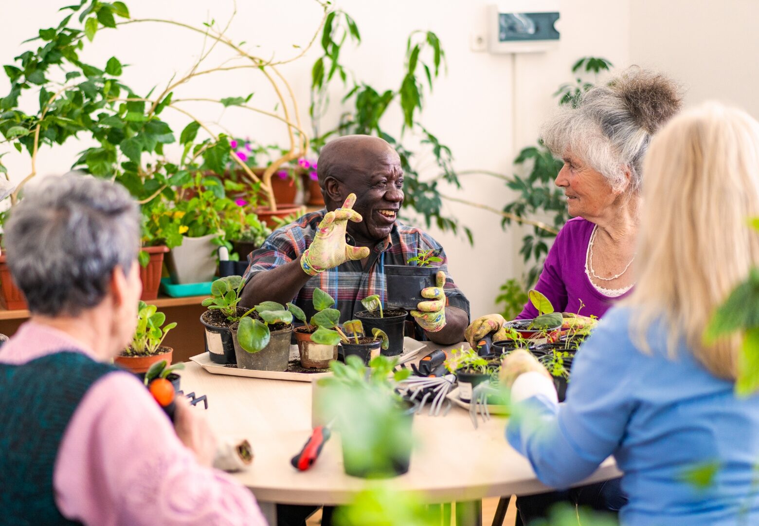 Advancing Skills In Therapeutic Horticulture Root In Nature Advancing Skills In Therapeutic Horticulture Root In Nature
