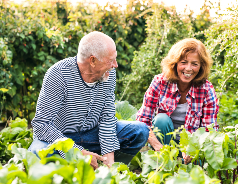 Featured Papers Root In Nature
