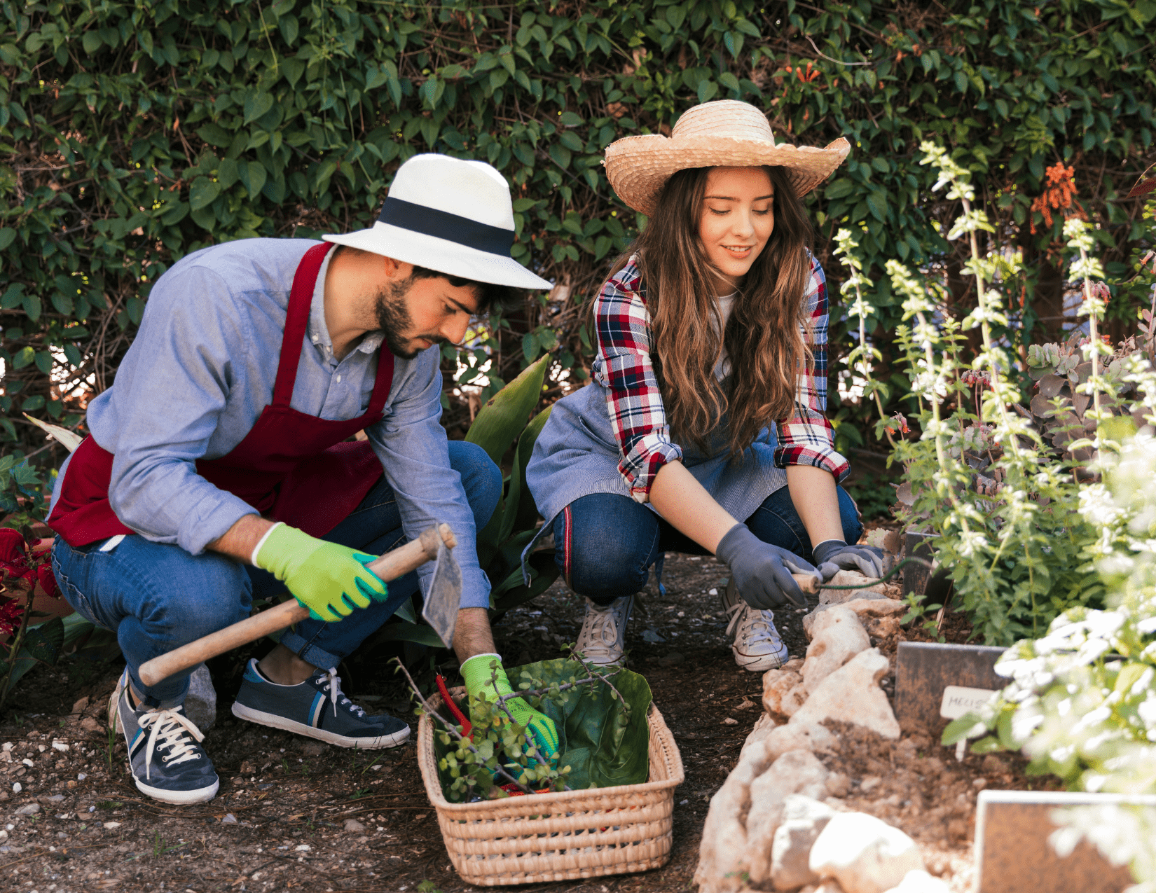 A closer look at Nature Based Therapy For Improving Cognitive Function In Older Adults