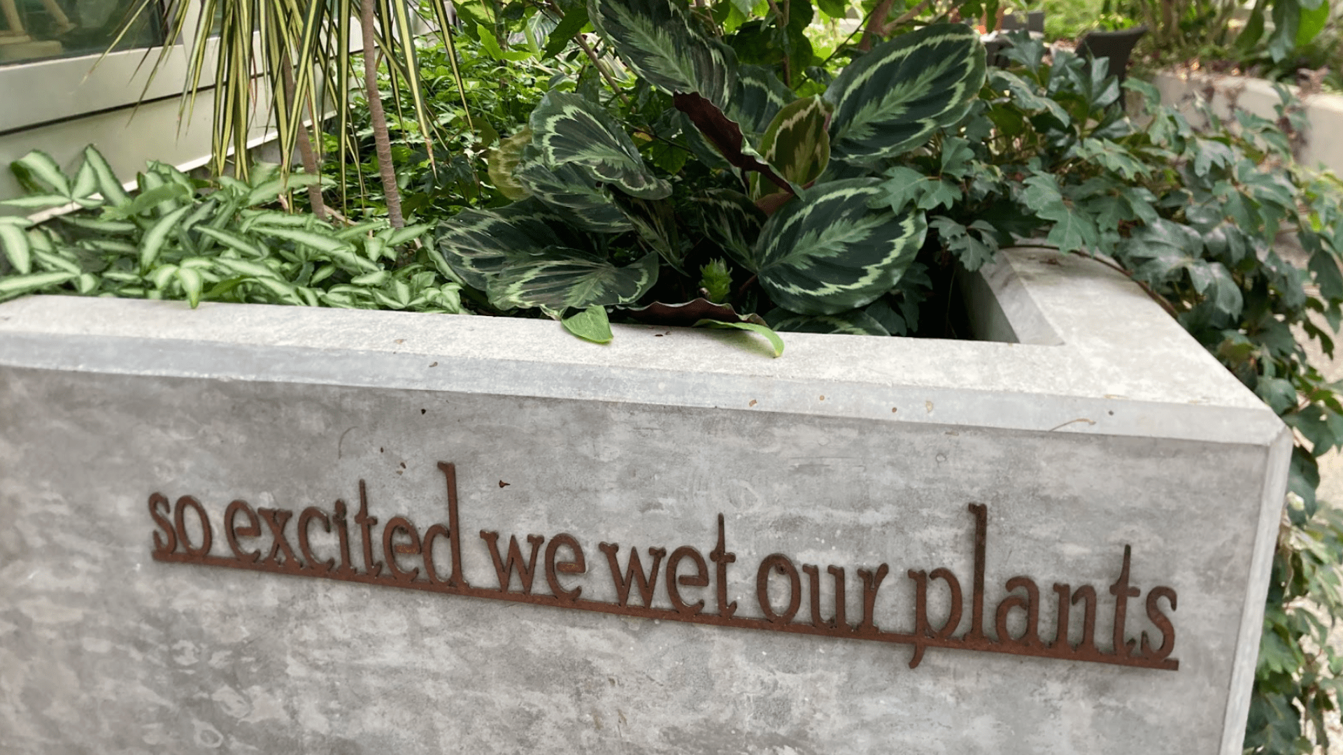 just for fun garden signs