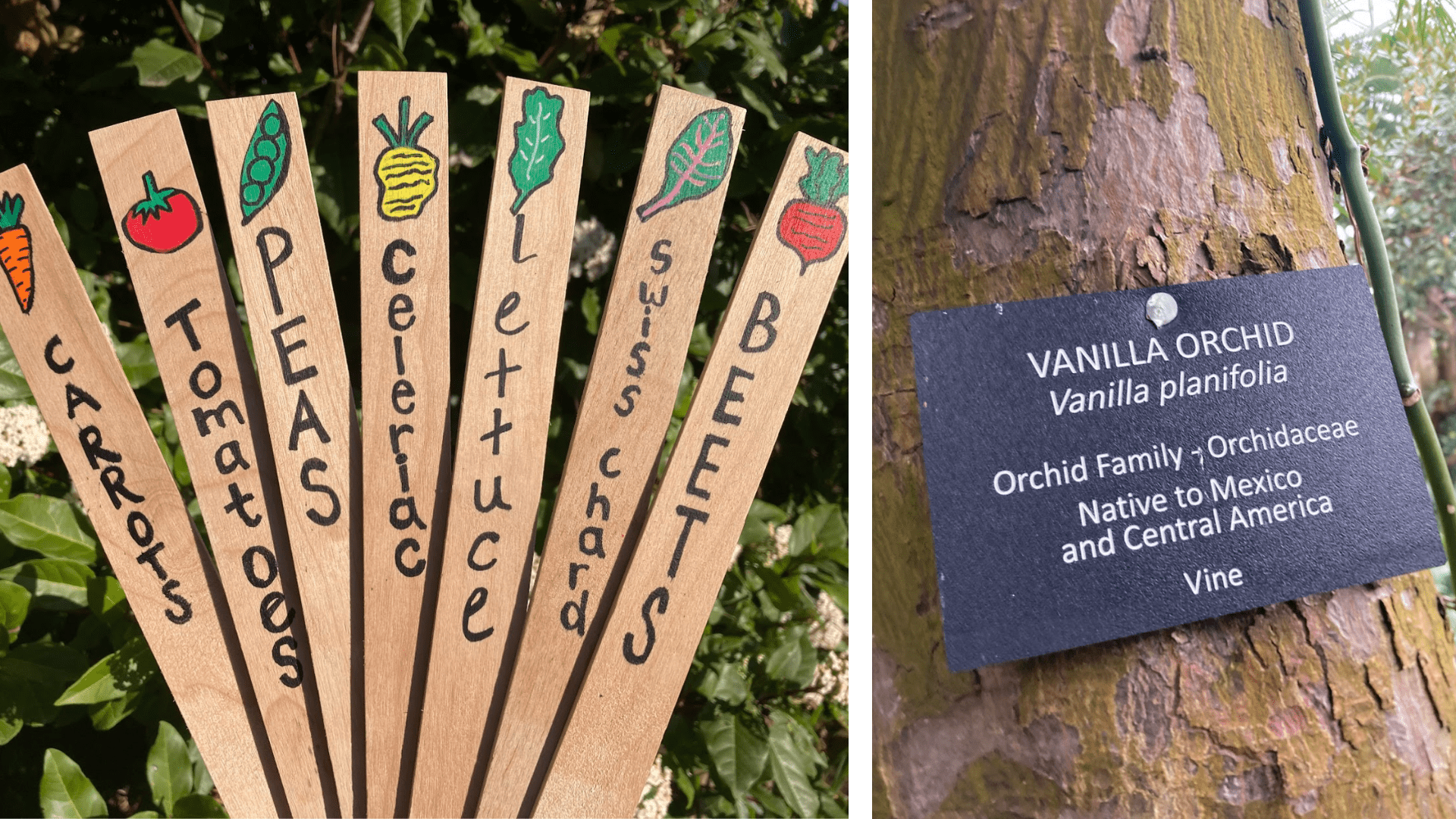 plant identification signs
