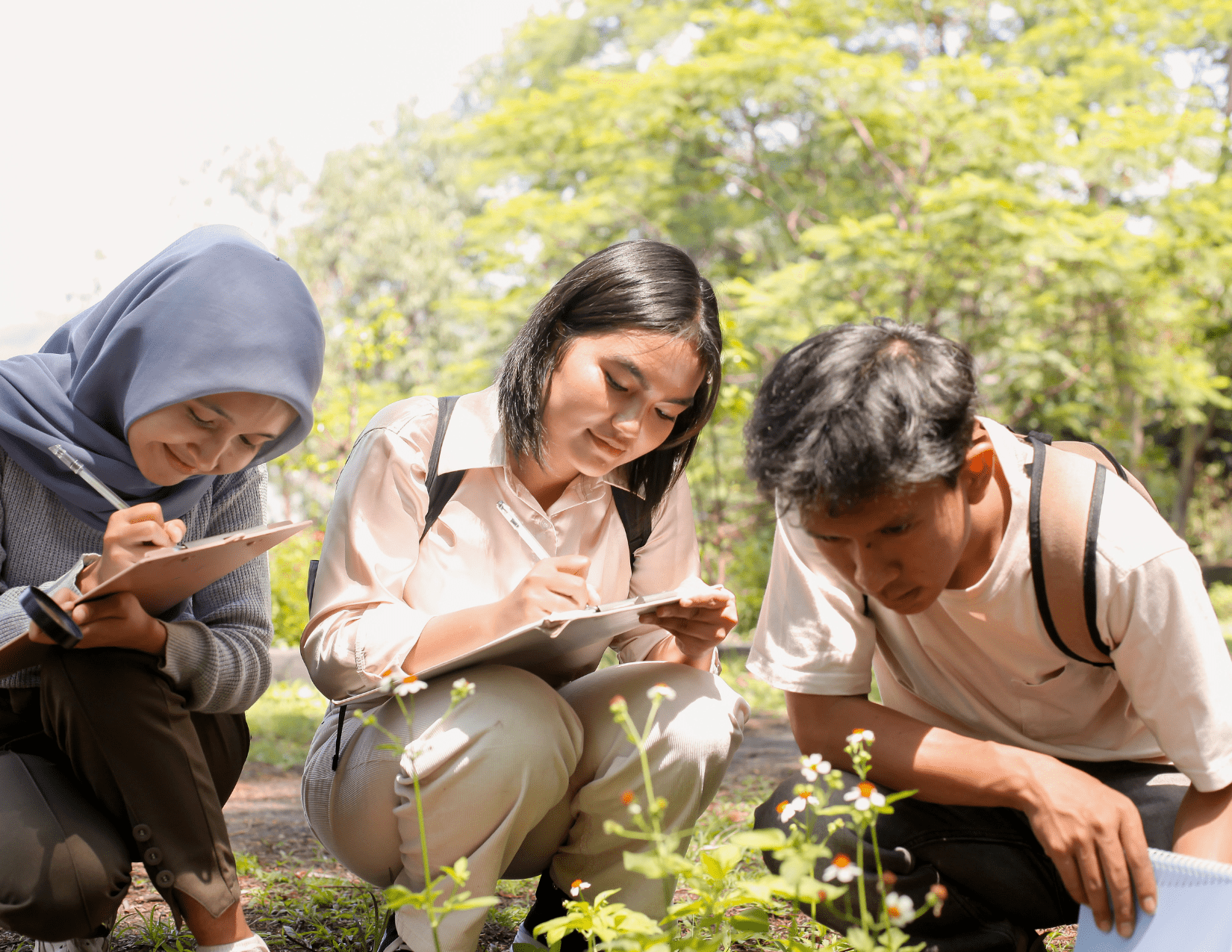 Using Functional Magnetic Resonance Imaging (fMRI) Technology to ...