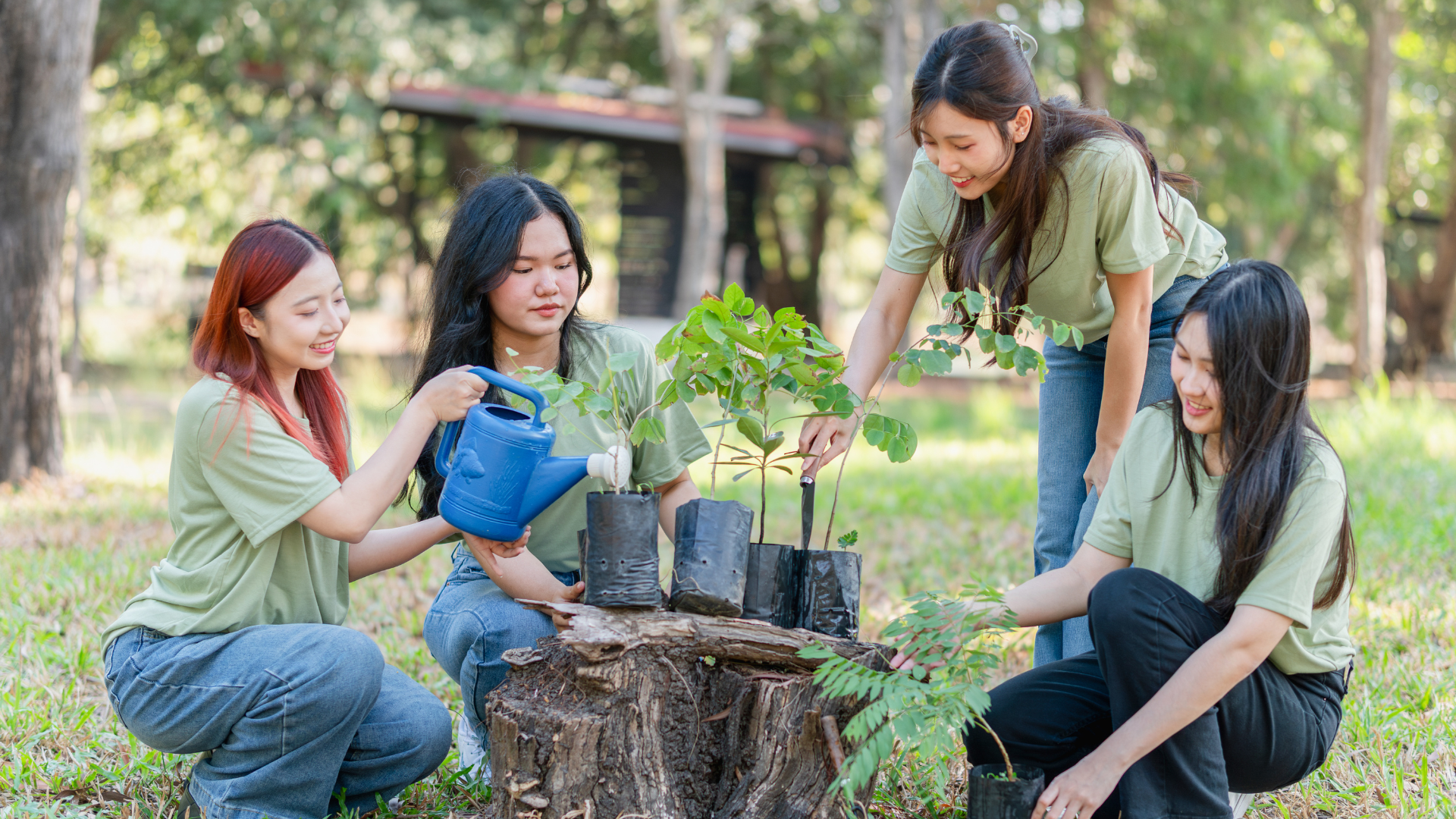 Therapeutic horticulture for social workers adapting across settings