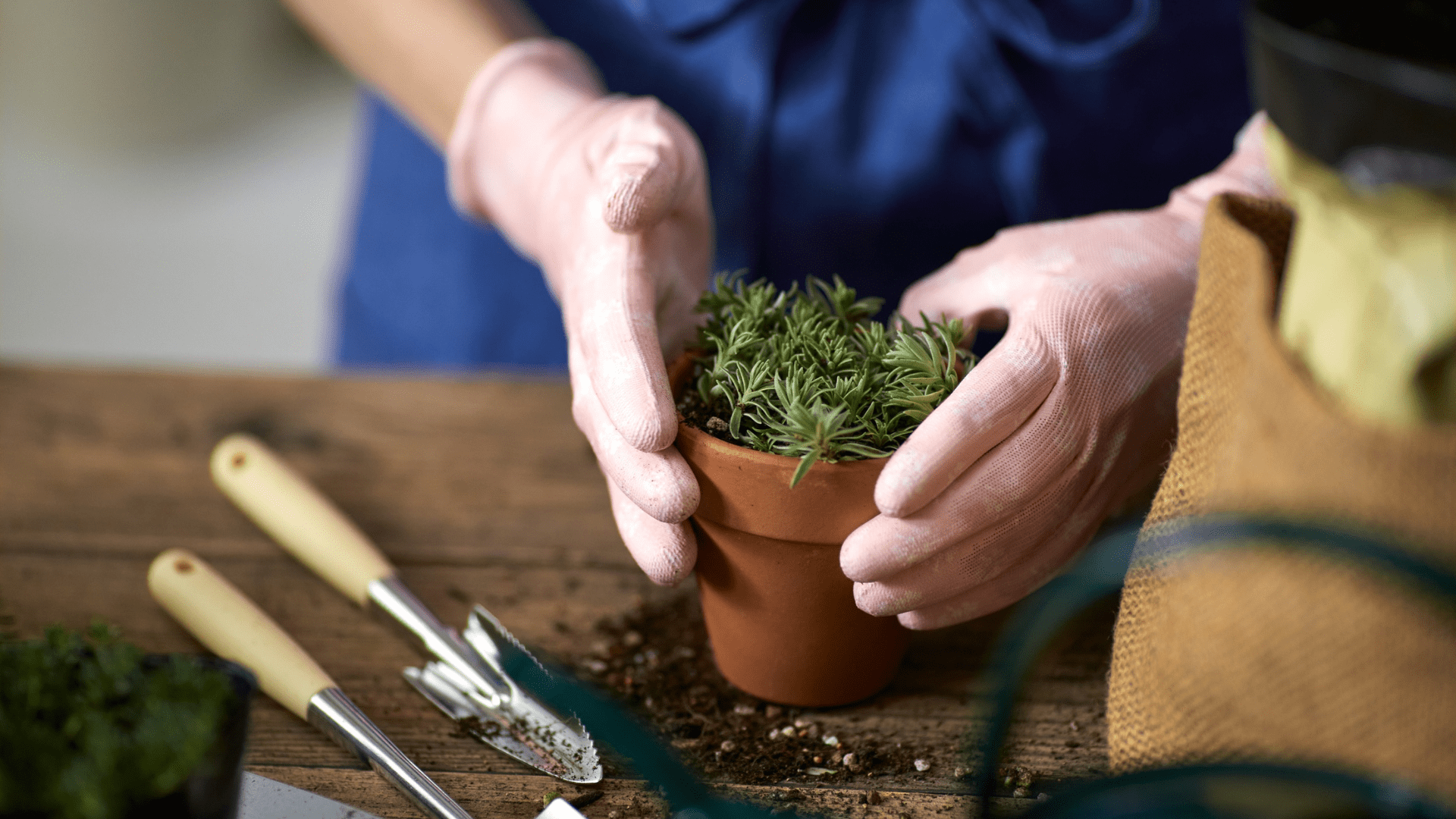 Therapeutic horticulture for social workers in indoor programs