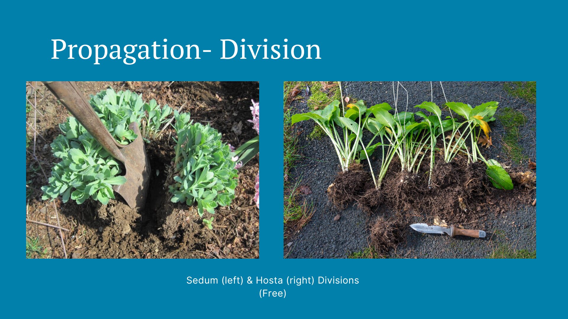 Propagation Division