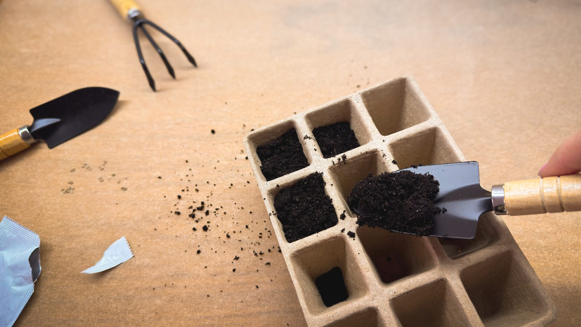 seed starting in containers