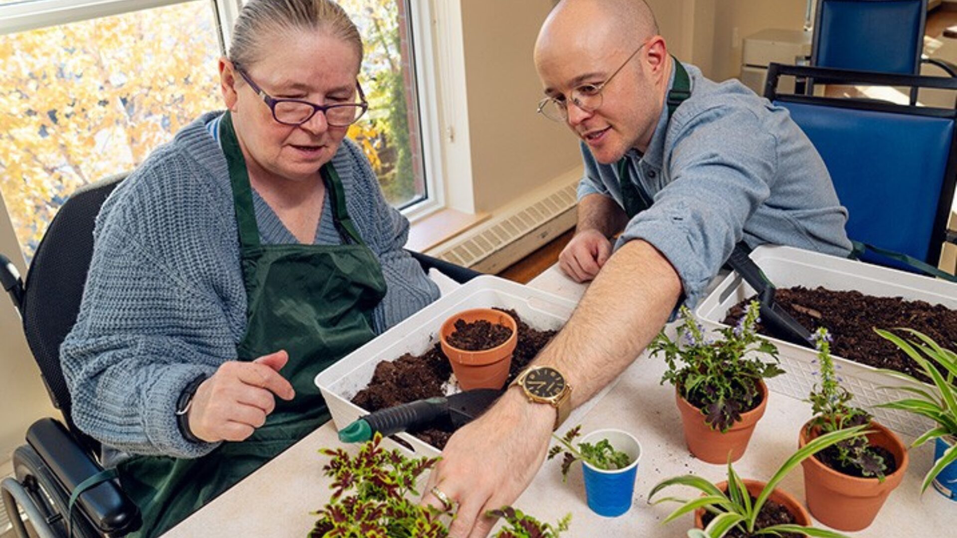 A weekly plant propagation session at Sienna Senior Living
