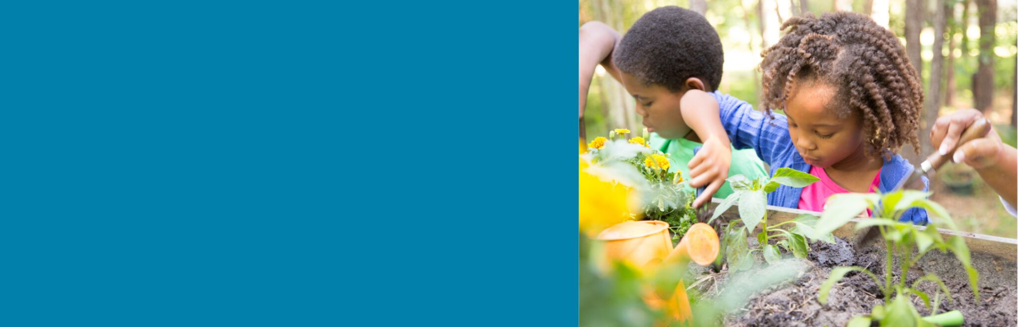 Therapeutic Horticulture for Children & Youth