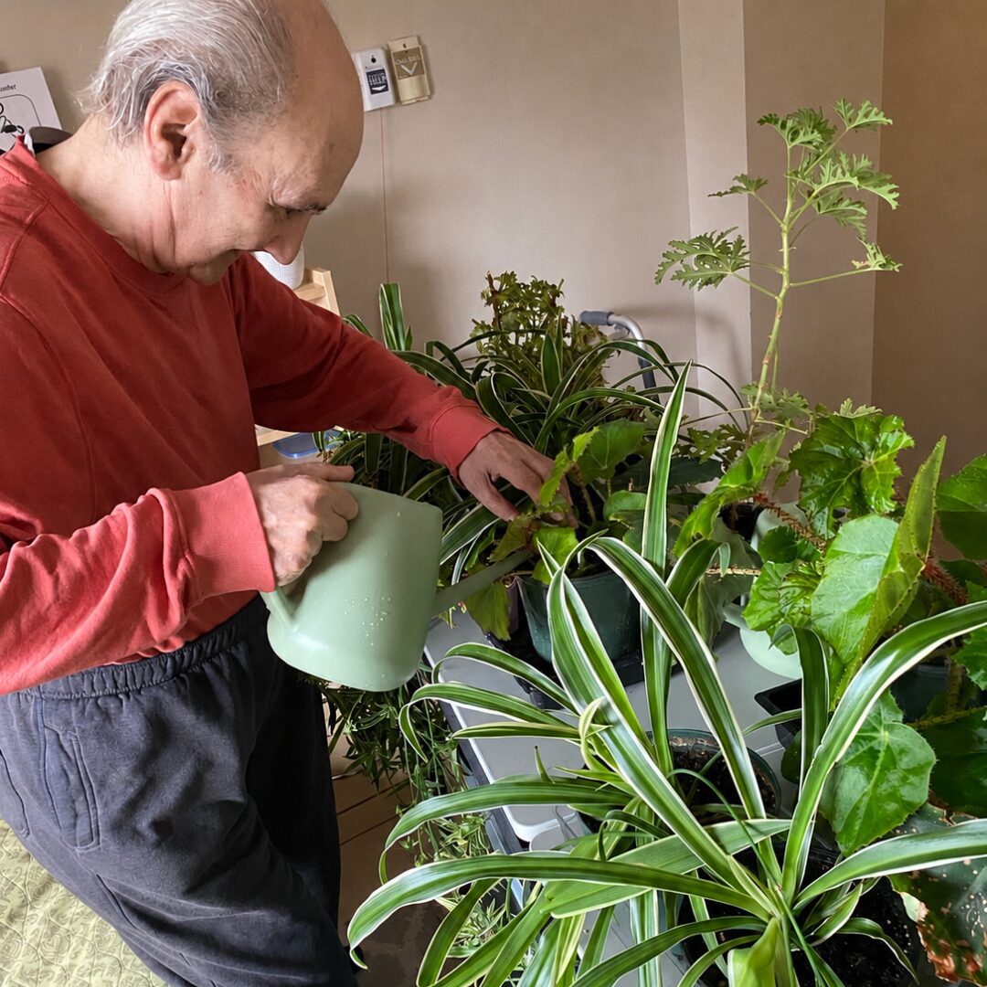 A resident caring for propagated spider plants, begonias, and scented geranium brought to him using a Therapeutic Horticulture cart.